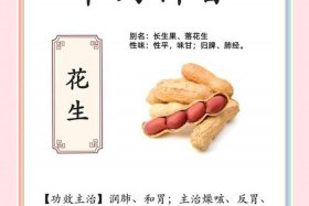 商花；商花33花生介绍