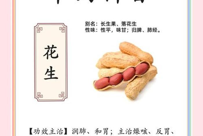 商花；商花33花生介绍