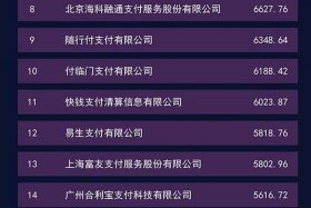 十大支付公司排名，十大支付公司排名中国