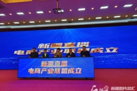 新疆电商协会成立大会（新疆电子商务协会）