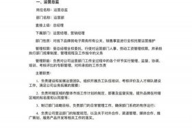 电商公司运营，电商公司运营总监工作职责