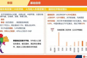 泰国电商系统 - 泰国电商发展情况