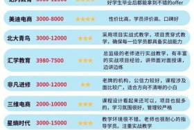 电商培训机构哪里最多 - 电商培训机构排行榜