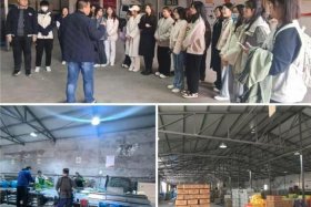 电商实习岗位有哪些、电商专业实习岗位有哪些