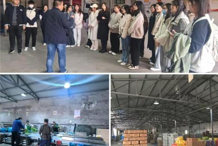 电商实习岗位有哪些、电商专业实习岗位有哪些