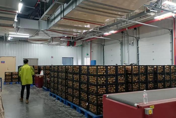 电商仓库分拣视频、电商仓库分拣视频大全