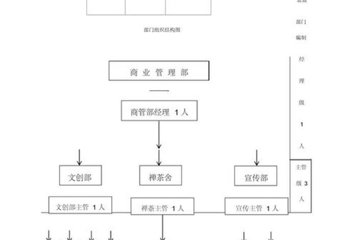 商管公司人员组织架构及管理职责;商管公司组织架构图 商管公司人员组织架构及管理职责;商管公司组织架构图