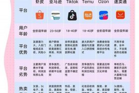 做跨境电商有哪些平台（做跨境电商有哪些平台可以做）