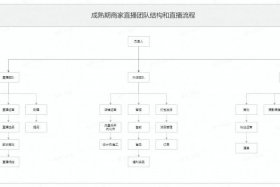 电商运营团队管理系统；电商运营团队人员配置