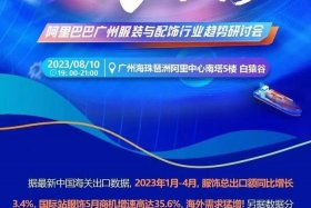 澄迈跨境电商解锁出海新姿势（澄迈跨境电商产业园）