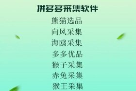 拼多多电商无货源、拼多多无货源电商玩法挣钱吗