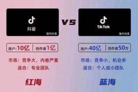 tiktok做跨境电商；tiktok做跨境电商大约花多少钱
