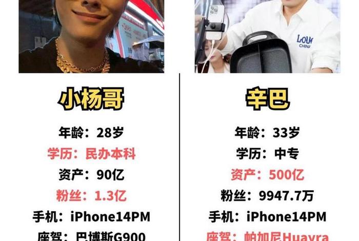 电商小杨 电商小杨哥是谁