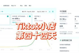 tiktok垫付了10天了还没到账，tiktok垫付了10天了还没到账正常吗