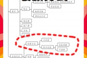 电商外贸收款流程 - 电商外贸收款流程怎么写