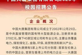 大唐电商技术有限公司招聘，中国大唐集团公司电子商务