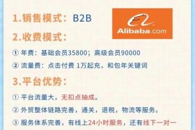 电商和跨境电商哪个好做 - 电商和跨境电商哪个好做一些