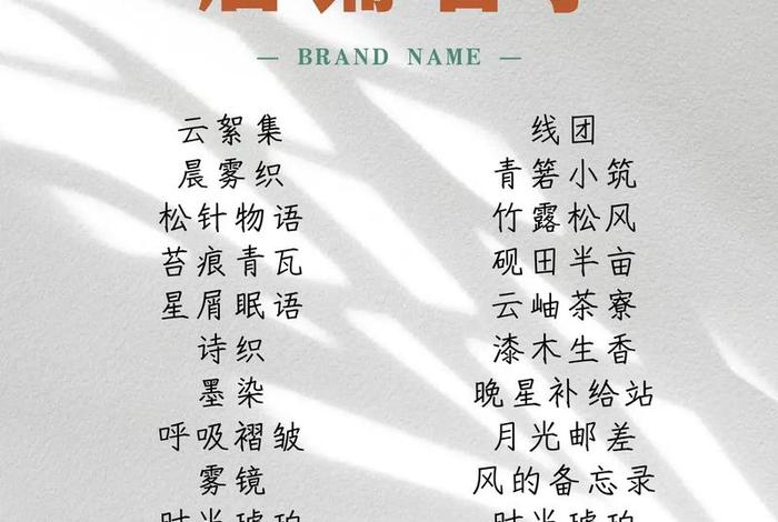 电商店铺名字大全10000个，电商店铺名字大全10000个怎么取