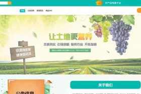 农产品电商平台搭建 - 农产品电商平台搭建方案