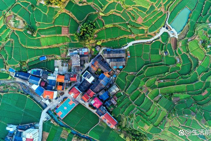 浙江磐安电商 国网浙江磐安供电公司官网