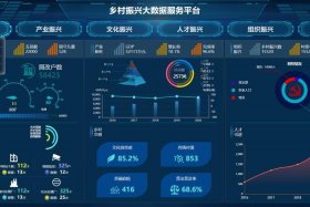 农村 电商 数字基础设施；农村 电商 数字基础设施是什么