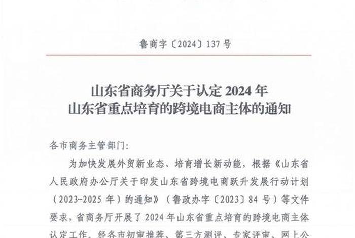 山东电商公司十大排名 山东电商公司十大排名榜 山东电商公司十大排名 山东电商公司十大排名榜