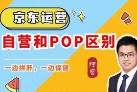 电商pop模式全称 - 电商pop模式全称是什么