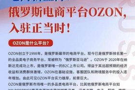 ozon俄罗斯电商平台官网买家入口（俄罗斯电商平台ozon入驻条件）
