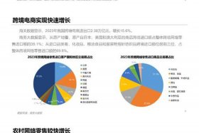 电商的发展历史简介 - 电商的发展史和趋势