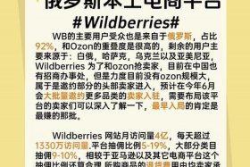 做俄罗斯跨境电商，做俄罗斯跨境电商哪个平台好
