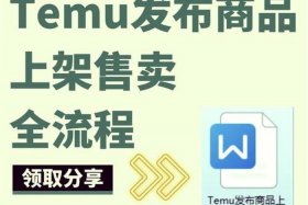 temu是什么平台（TEMU是什么平台要学英语吗）