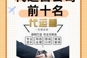 宁波电商运营；宁波电商代运营