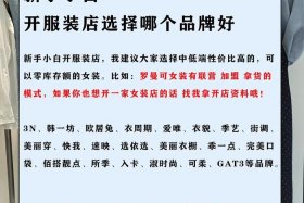 做服装电商哪个平台好 做服装电商哪个平台好一点