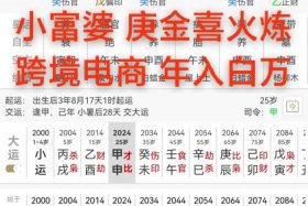 互联网电商属于什么五行；互联网电商属于什么五行属性