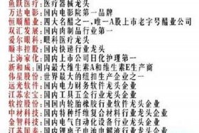 海螺电商系统官网，海螺电商平台官网