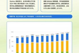跨境电商行业分析报告 跨境电商 行业报告