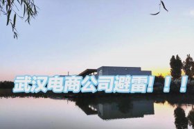 武汉电商小公司 武汉电商小公司排名