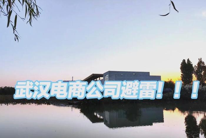 武汉电商小公司 武汉电商小公司排名