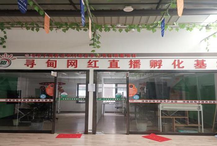 网红电商孵化器;网红电商孵化器怎么做 网红电商孵化器;网红电商孵化器怎么做