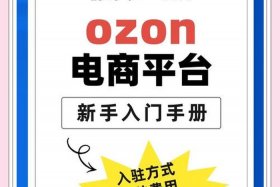 俄罗斯ozon电商平台注册（俄罗斯电商平台ozon中文）