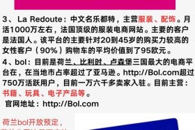 欧洲电商平台排名前十名（欧洲电商平台排名前十名有哪些）