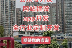 电商开发小程序公司哪家好（电商开发小程序公司哪家好一点）