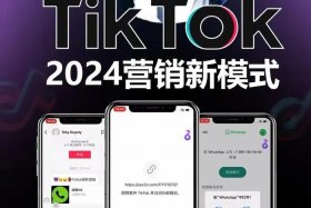 tiktok电商平台叫什么、tiktok 电商
