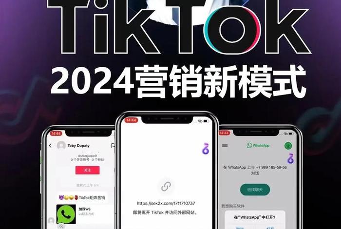 tiktok电商平台叫什么、tiktok 电商 tiktok电商平台叫什么、tiktok 电商