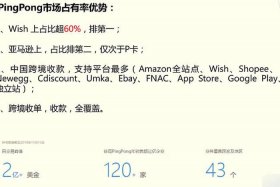 国内跨境电商收款平台（国内跨境电商收款平台排名）