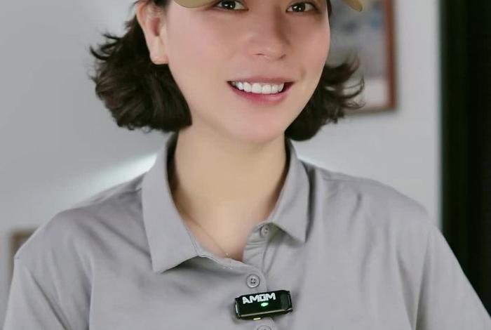 日本电商务旅行戴帽子的同行;日本商务旅游 日本电商务旅行戴帽子的同行;日本商务旅游