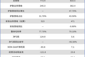 逸仙电商毛利率 逸仙电商上市估值