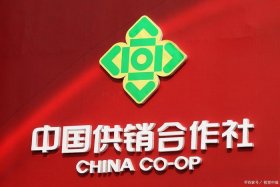 中国供销总社电商平台（中国供销总社电商平台有哪些）