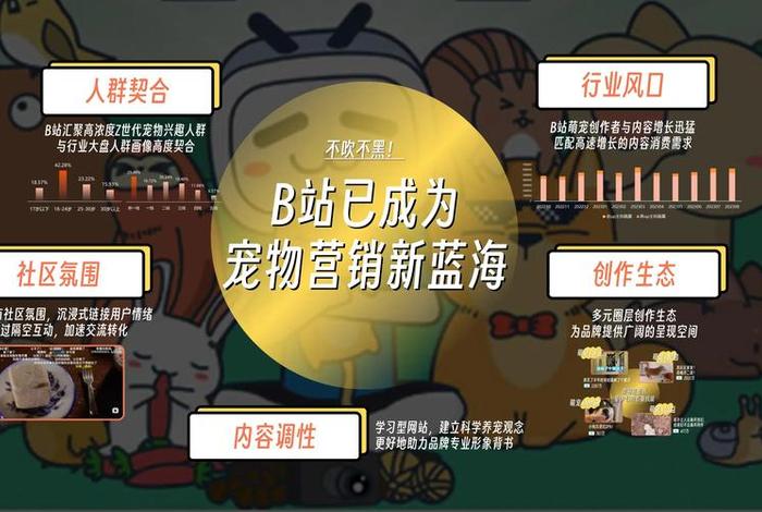 宠物电商带货课 宠物电商运营模式 宠物电商带货课 宠物电商运营模式