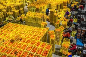 电商农产品图片、电商农产品图片素材